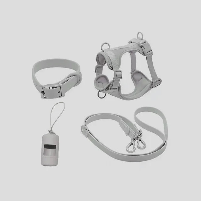 Gray Walk Kit Set