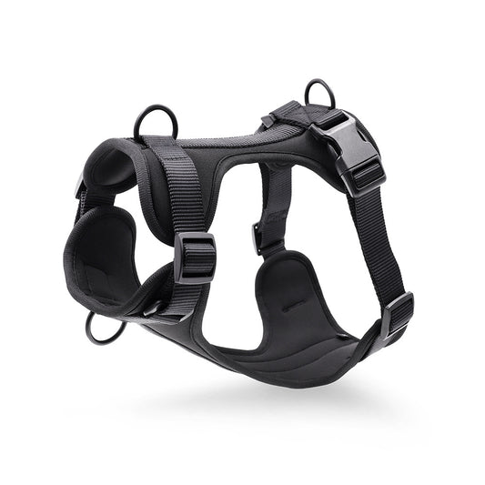 Black Harness