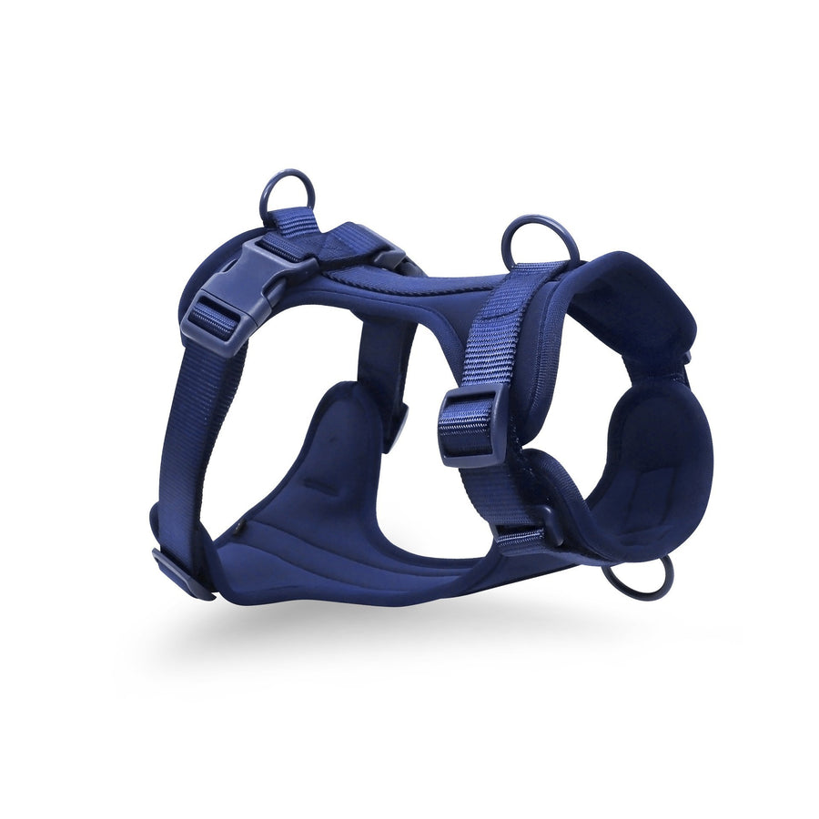 Blue Harness