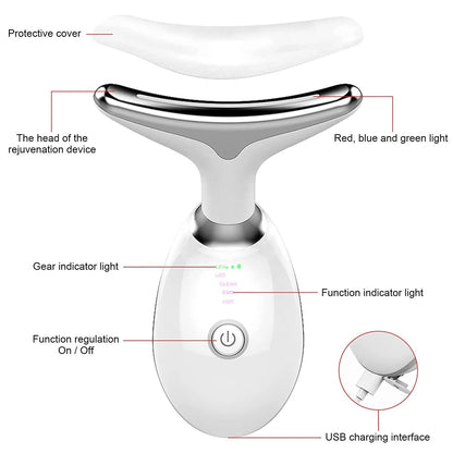 LED Pro Massager